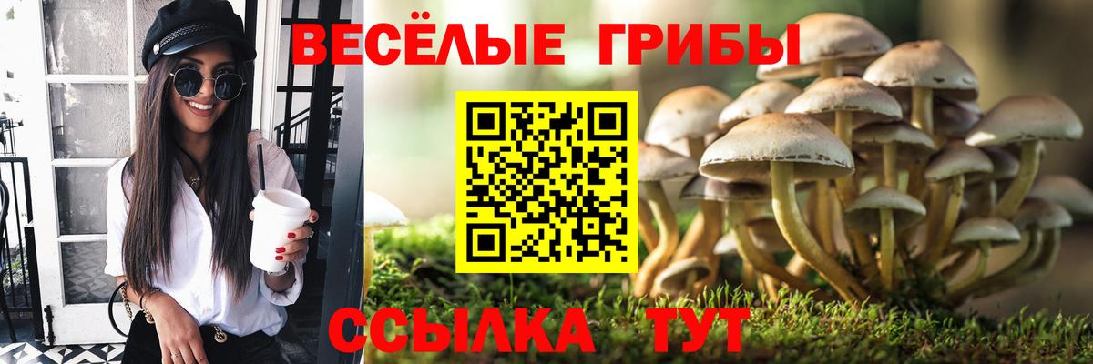 Галлюциногенные грибы мицелий Гуково